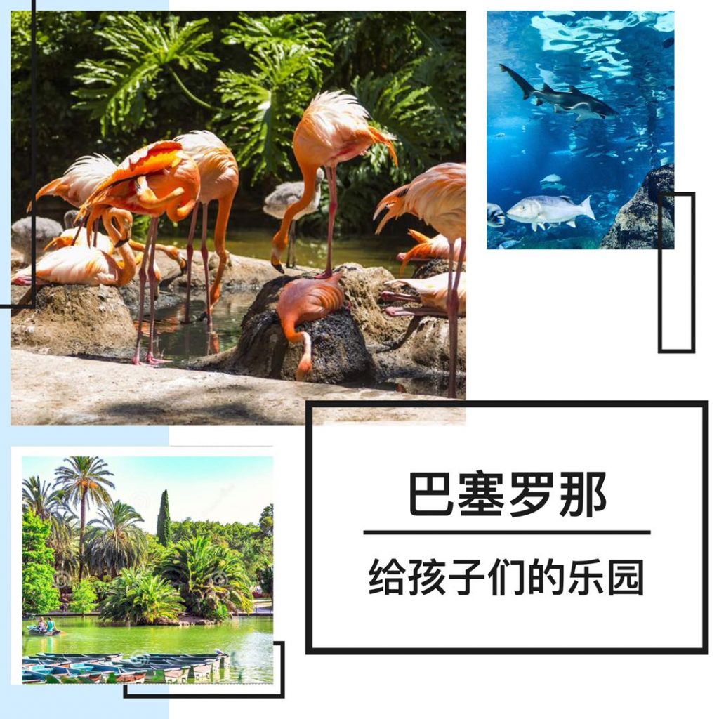 巴塞罗那给孩子们的乐园